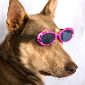 Meet your Posher, Ella